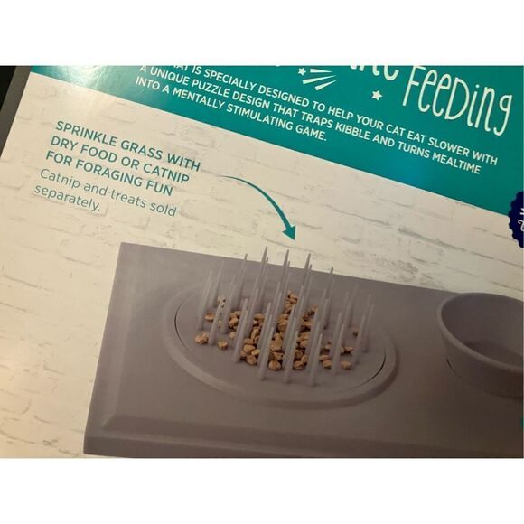 Pet Slow Feeder Mat With Bowl Set - Picture 9 of 12